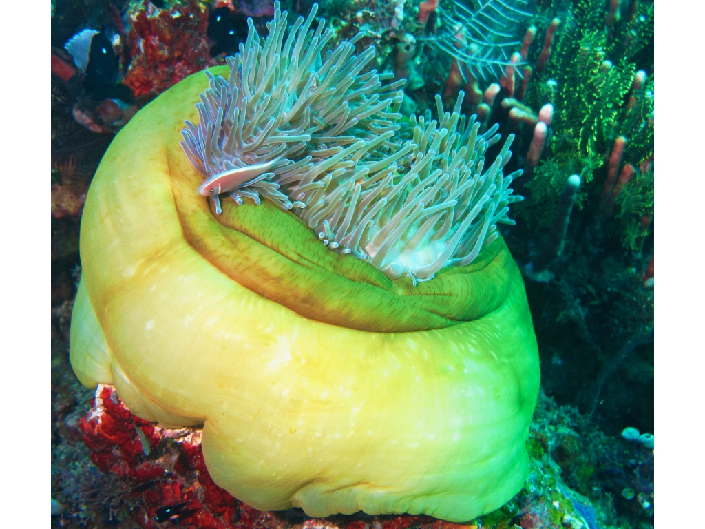 IMG_6250 (1) IMG_6250 (1)